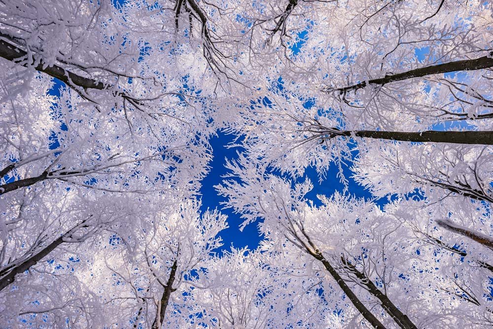 후러싱 2배드 1배스 콘도 렌트