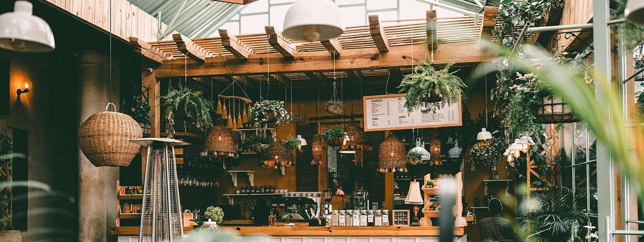 Beautiful Ladies Collection in Kanas City